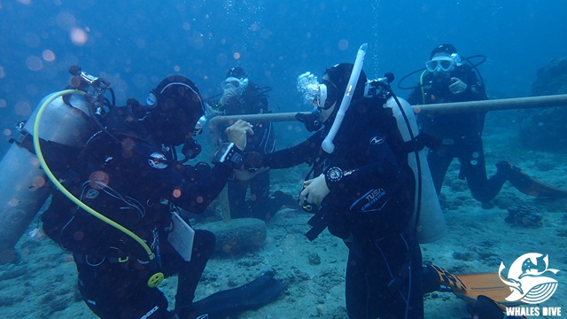 P9141911.JPG