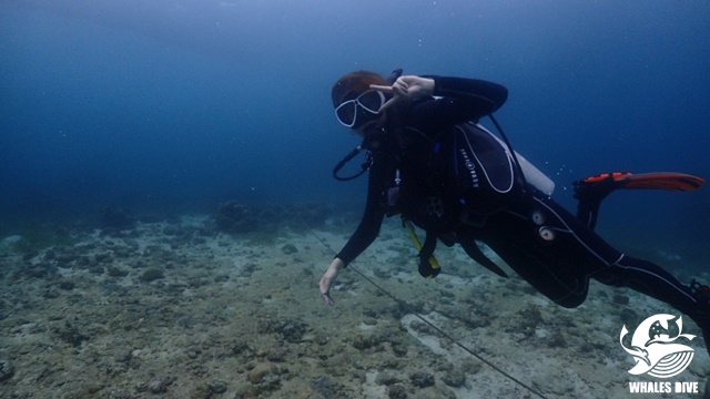 P9202002.JPG