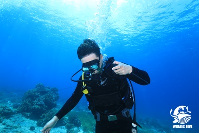 2U0A3852.JPG