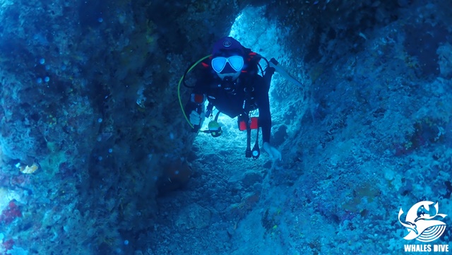 PA072075.JPG
