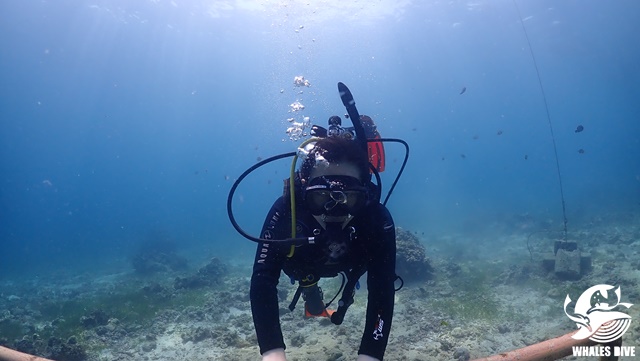 PA122266.JPG