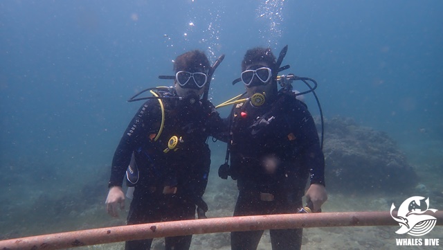 PB040082.JPG