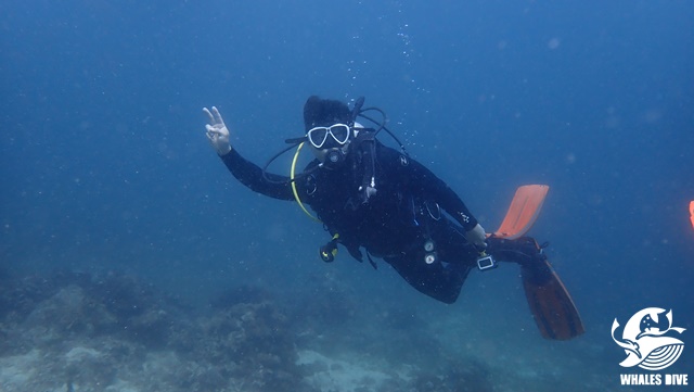 PB040114.JPG