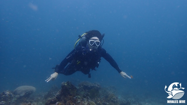 PB040137.JPG