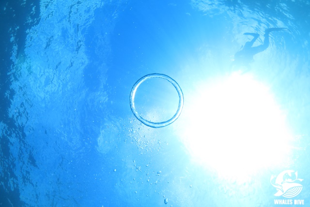 2U0A0773.JPG