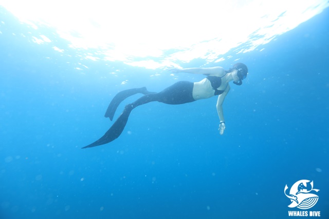 2U0A9177.JPG