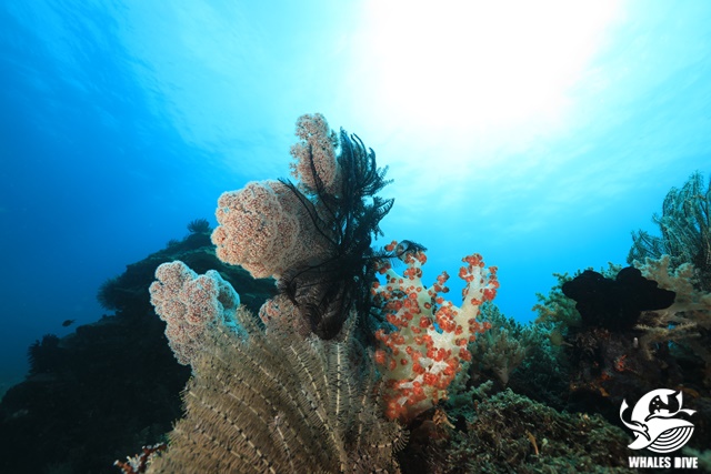 2U0A0327.JPG