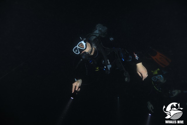 2U0A9416.JPG