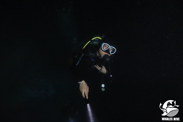 2U0A9473.JPG