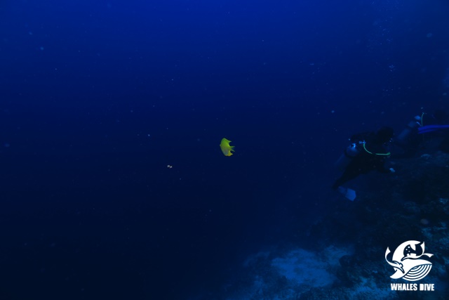 2U0A5671.JPG